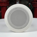 Haut-Parleur plafonnier Merlaud