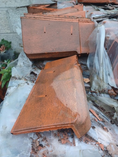 [CP] Tuile rive gauche Terreal