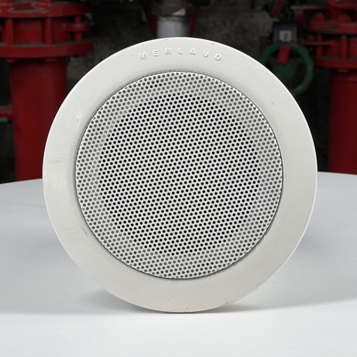 Haut-Parleur plafonnier Merlaud